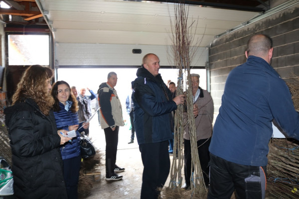 Воћари добили засаде шљиве и лијеске
