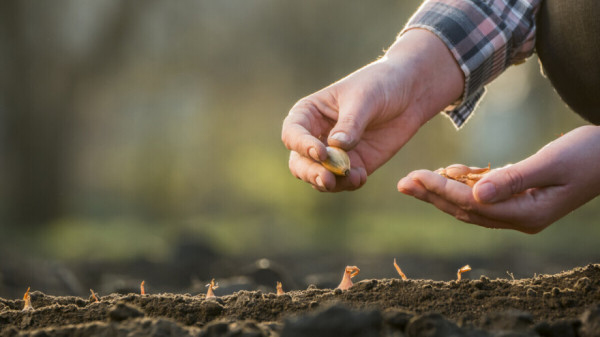 Ј А В Н И П О З И В за подношење захтјева за одобравање подстицајних средстава - Подршка за набавку сјеменског материјала
