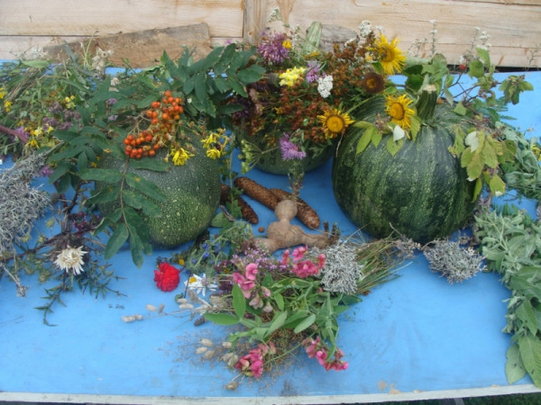 Одржан трећи Фестивал шумских плодова Шибови 2016