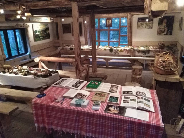 Одржан четврти гљиварски викенд