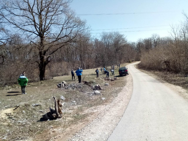 Сурјанци садили дрвеће уз пут Сурјан -Рацуне