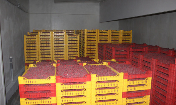 Општина Мркоњић Град креће у реализацију пројекта: „Унапређење капацитета у малинарству на подручју општине Мркоњић Град“